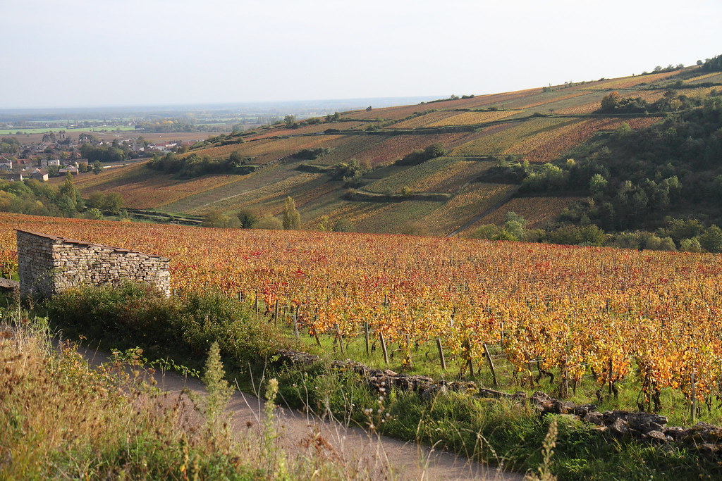 Voyage 5ème Bourgogne