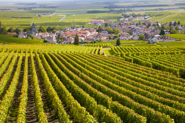 Voyage 5ème Bourgogne
